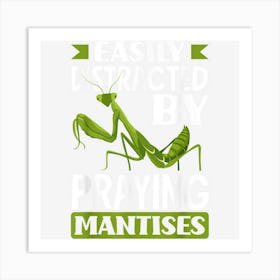 Insect Bug Collector Easily Distracted By Praying Mantises Art Print