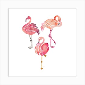 Flamingos Square Art Print