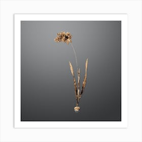 Gold Botanical Ixia Filiformis on Soft Gray n.3591 Art Print