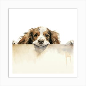 Spaniel Clumber Art Print