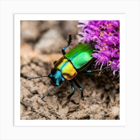 Beetle On Purple Flower Art Print