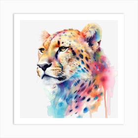 Cheetah 28 Art Print