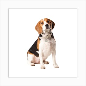 Beagle Art Print