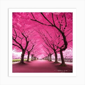 Pink Cherry Blossoms 2 Art Print