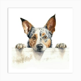 Australian Cattle Dog 7 Art Print