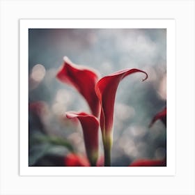 Red Calla Lily Art Print