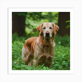 Golden Retriever In The Forest Art Print