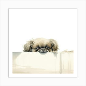 Pekingese Art Print