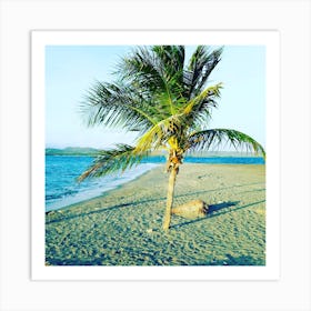 Palm Tree On The Beach Art Print