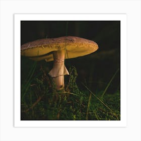 Mushroom Amanita Fungus Grass Wallpaper 1024x1024 Art Print