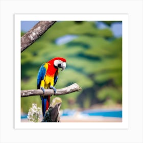 Colorful Parrot 1 Art Print