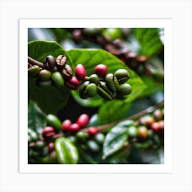 Coffee Beans On A Tree 25 Art Print