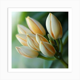 Lily Of The Valley 5 Art Print