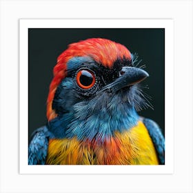 Colorful Bird 17 Art Print