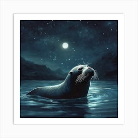 Seal At Night 1 Art Print