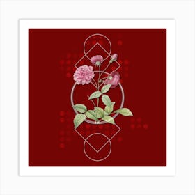 Vintage China Rose Botanical with Geometric Line Motif and Dot Pattern Art Print