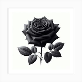 Black Rose 5 Art Print