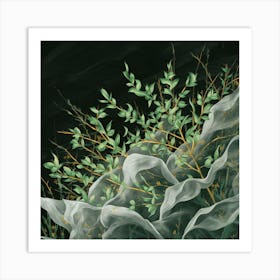 Eucalyptus Art Print