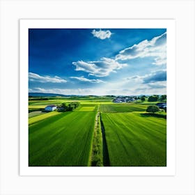 Green Farm Nature Field Landscape Countryside Agriculture Grass Gold Grow Japan Air Plan (3) Art Print