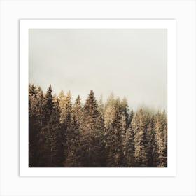 Colored Pine Trees Square Art Print