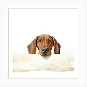 Dachshund Dog 6 Art Print