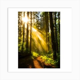 Sunbeams In The Forest Art Print