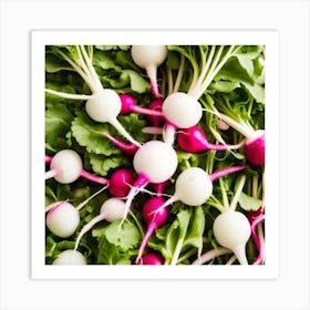 Radishes 39 Art Print