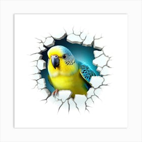 Blue And Yellow Parakeet Art Print