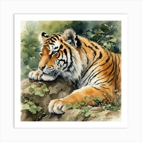 Tiger 2 Art Print