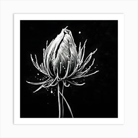 Black And White Flower 1 Art Print