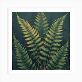 Ferns 14 Art Print