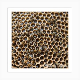 Honeycomb and Bees Art Print