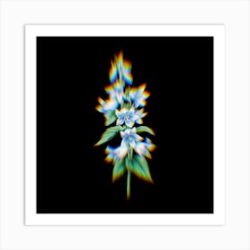 Prism Shift Bellflowers Campanula Botanical Illustration on Black n.0311 Art Print