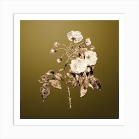 Gold Botanical Adelia Aurelianensis on Dune Yellow n.3539 Art Print