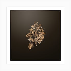 Gold Botanical Standish's Fuchsia Flower Branch on Chocolate Brown n.0783 Art Print