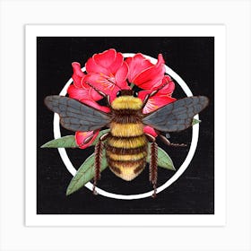 Rhododendron Bee Square Art Print