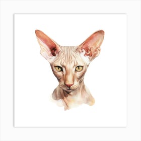 Peterbald Cat Portrait Art Print