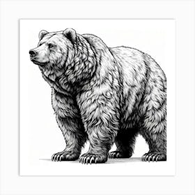 Line Art grizzly 1 Art Print