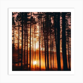 Sunrise In The Forest 1 Art Print