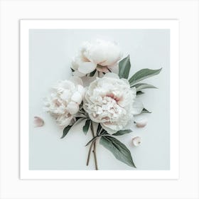 White Peonies On White Background Art Print