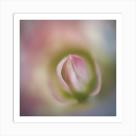 A Close Up Of A Delicategentle Petals Bud Just Beginning To Bloom, With Soft Petals And Hints Of Vib (3) Art Print