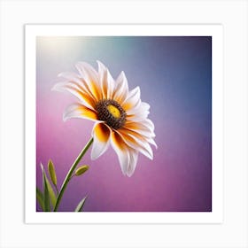 Flower Stock Videos & Royalty-Free Footage Art Print