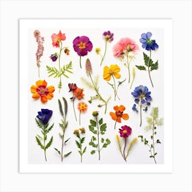 Dried Wild Flowers 23 Art Print