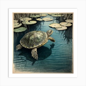 Turtle In Water 1 Art Print