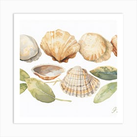 Watercolor Sea Shells 1 Art Print