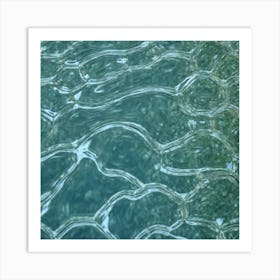 Water Ripples 29 Art Print