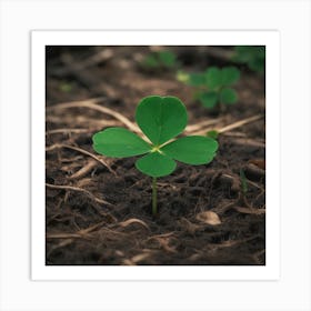 A four-leaf clover Art Print