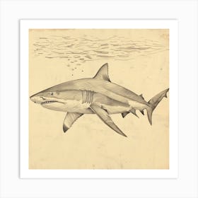 Bull Shark Vintage Illustration 4 Art Print