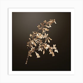 Gold Botanical Caragana Sinica on Chocolate Brown n.4769 Art Print