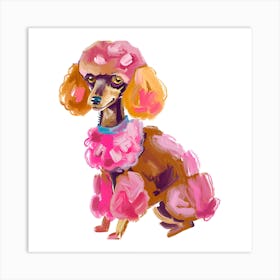 Poodle 02 Art Print